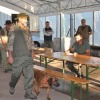 Prova di Lavoro per Cani da Traccia - Reana del Rojale
